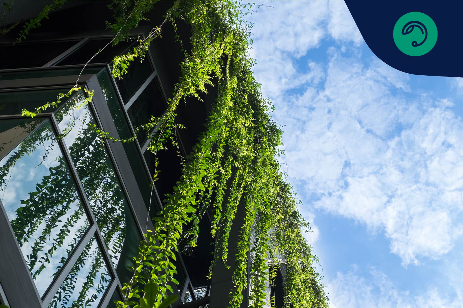 Modern husfasad där växter hänger ner från taket.