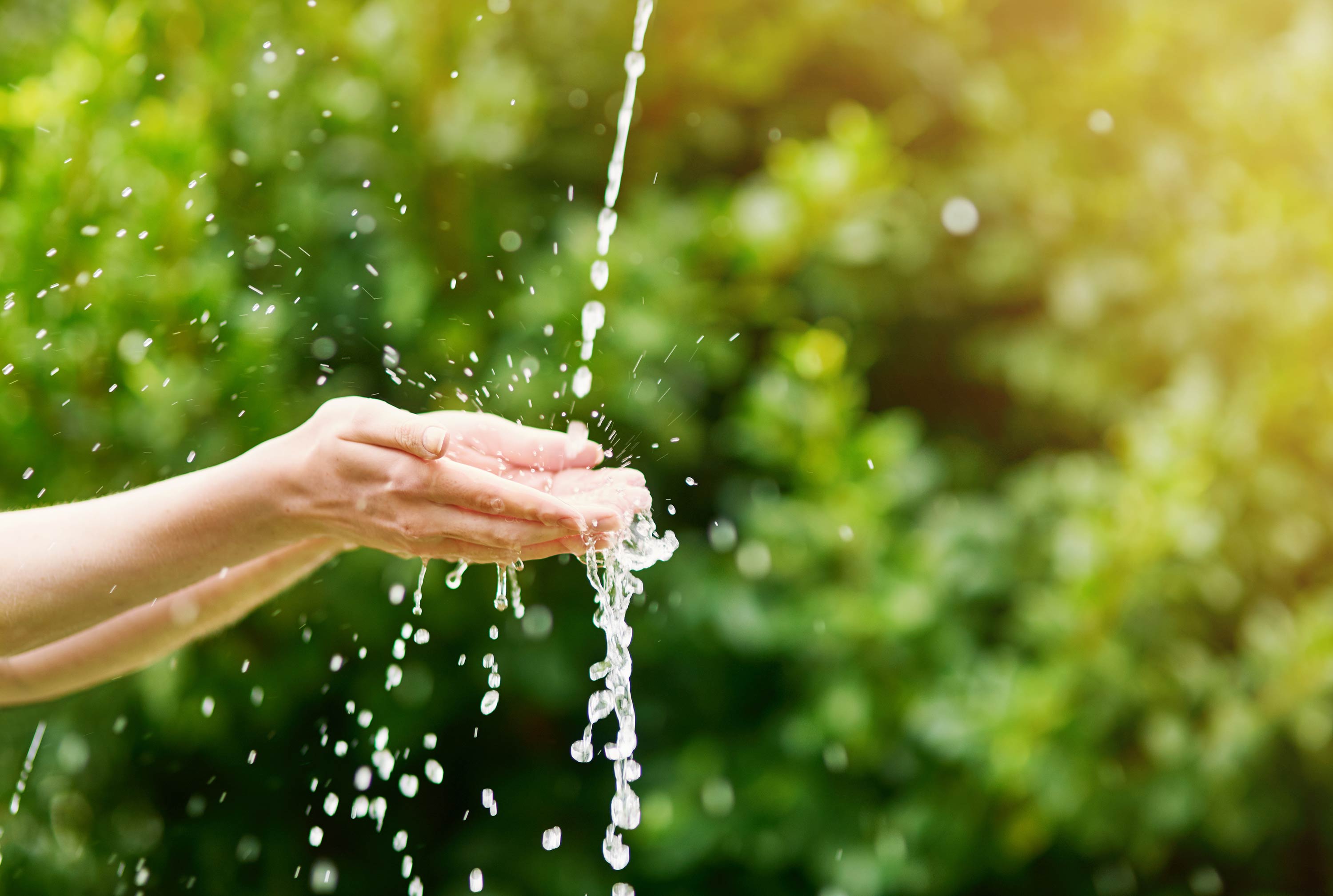 Händer fångar upp vattenstråle ute i grönska.